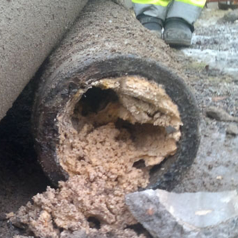 Featured image for “Nu blir det förbjudet att hälla matolja i avloppet”